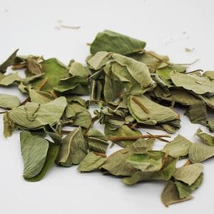 广金钱草的功效与作用