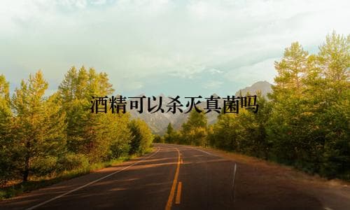 酒精可以杀灭真菌吗？