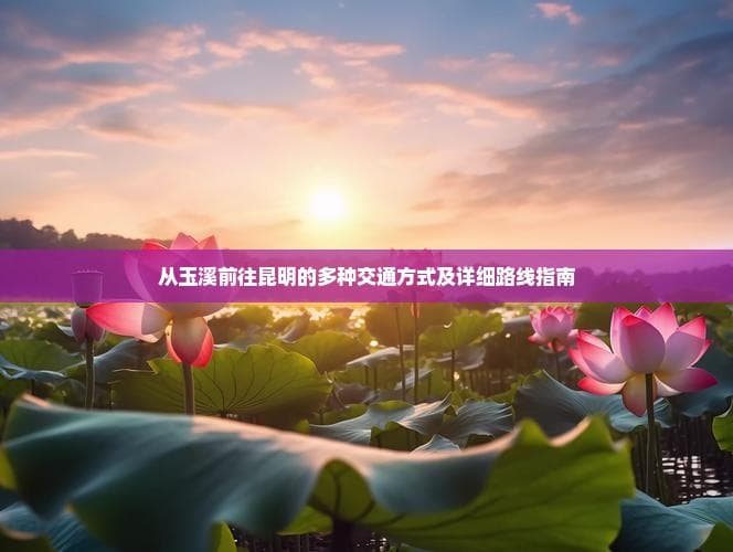 从玉溪前往昆明的多种交通方式及详细路线指南