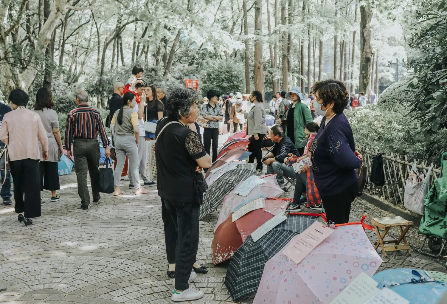 南湾街道&蜀山区妇联联手反家暴，共建和谐社区