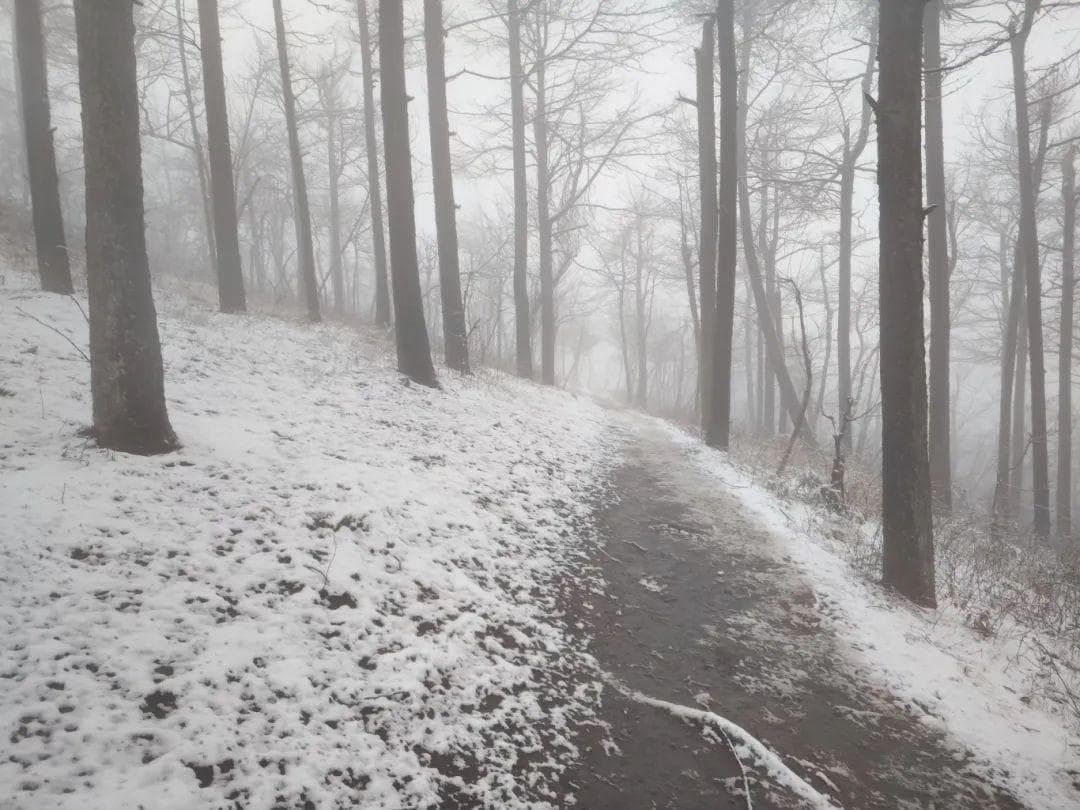多地已积雪！刚刚确认：杭州雨雪升级！请密切关注预报