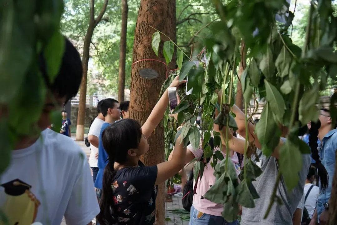 “植”得一看，看交大师生如何唤醒校园“绿色精灵” ！