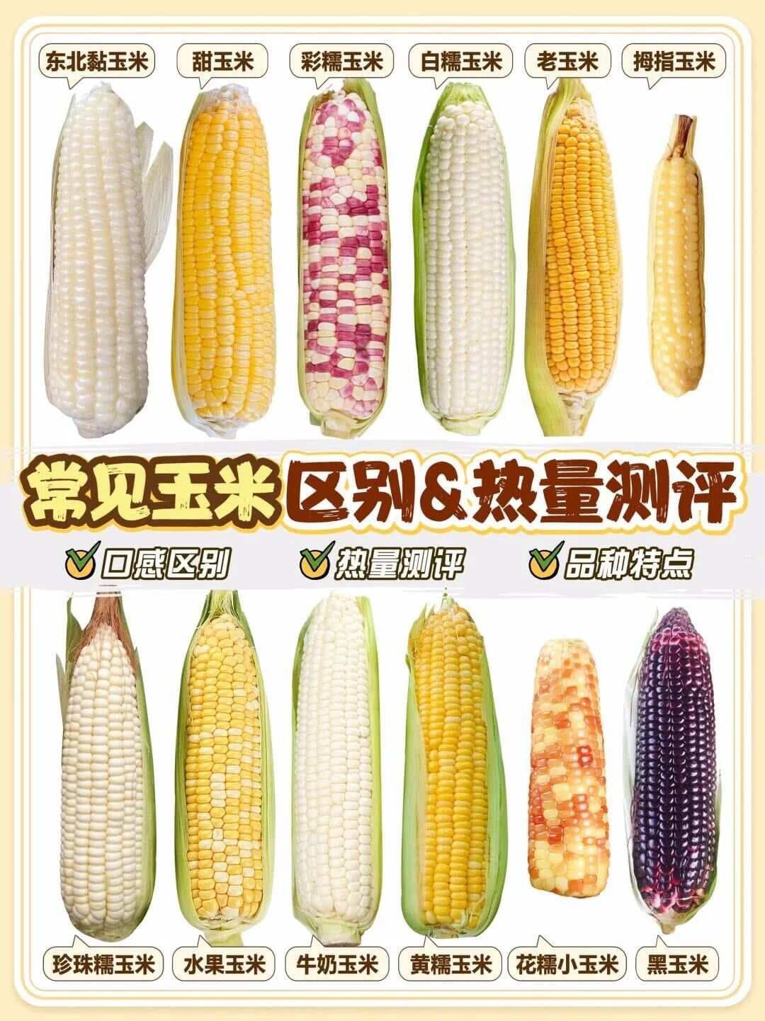 玉米怎么选？常见玉米区别&热量测评