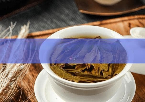 杜仲叶茶泡水的健康益处与潜在风险