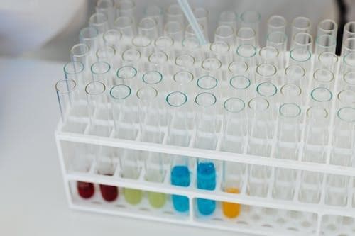 高效液相色谱中的对照品：确保分析结果准确可靠的关键