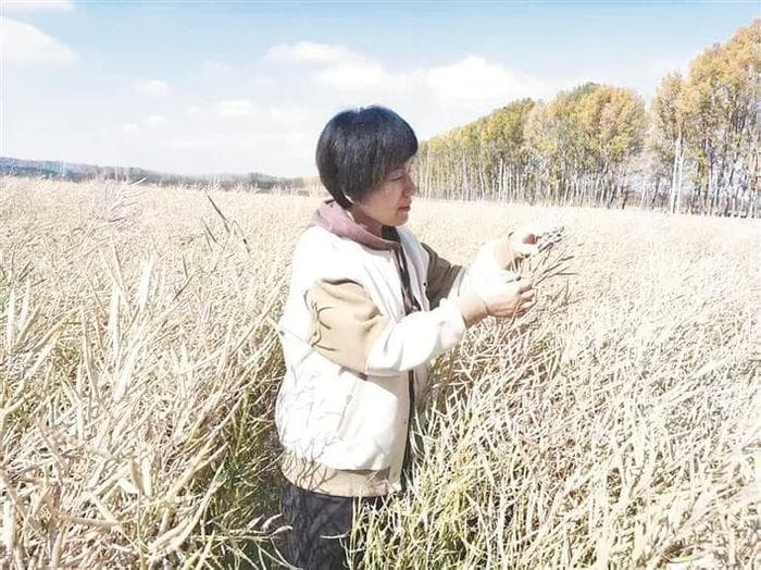 张凤华：把朵朵油菜花变为“致富花”