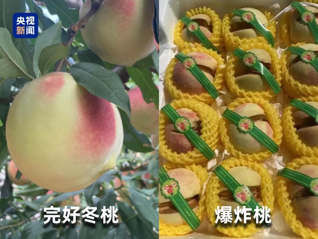 “水果骗局”曝光！你可能正在交智商税！