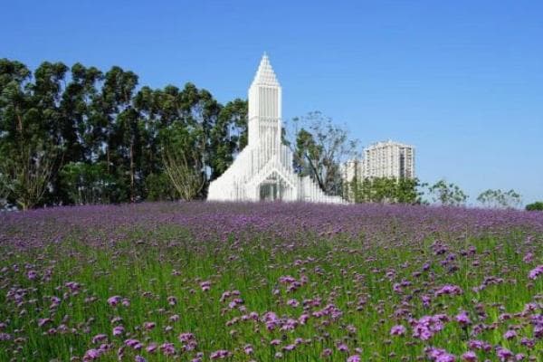 佛山南海区十大露营地推荐，亲近自然的好去处