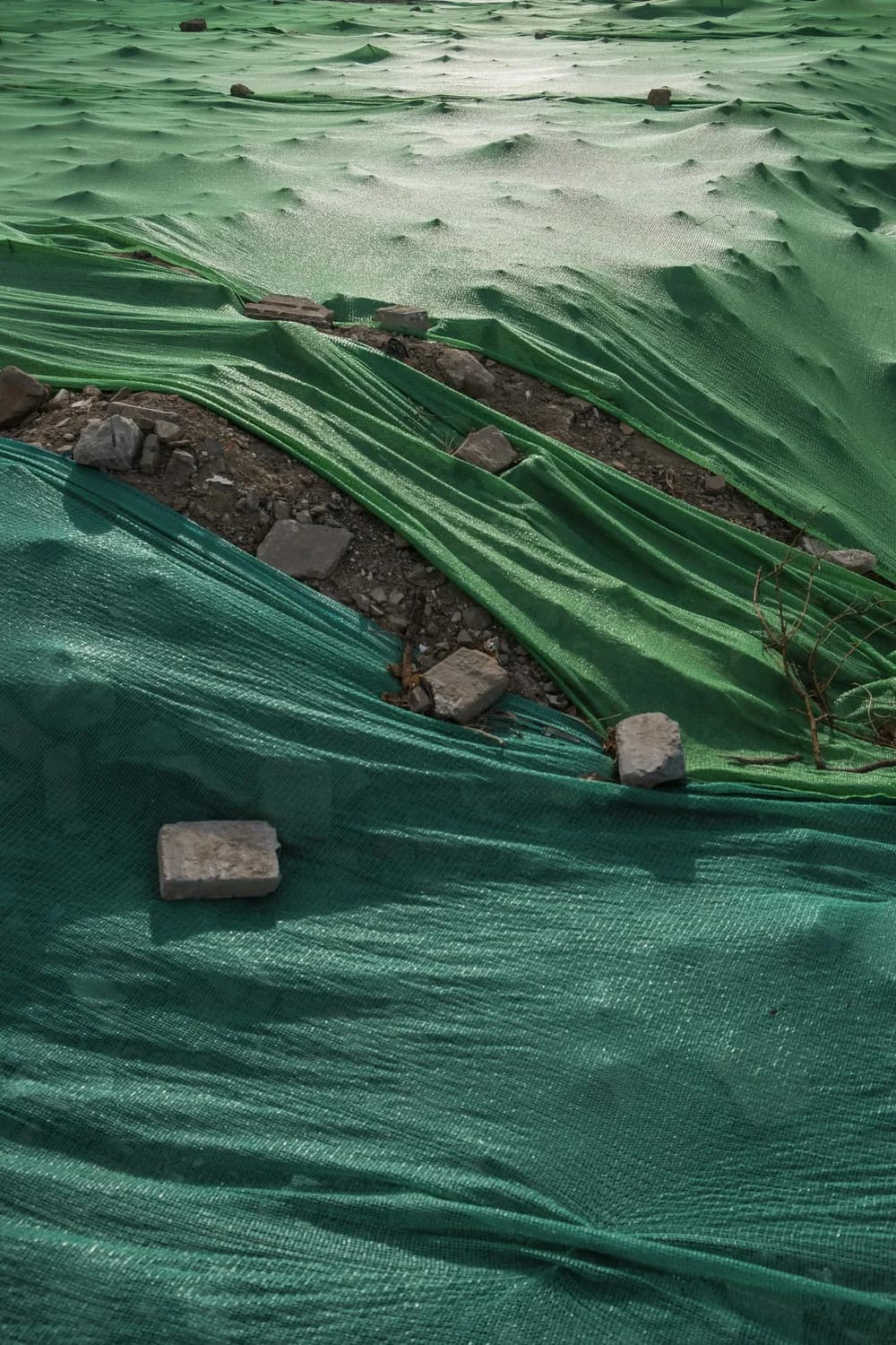 工地绿化的安全密码：从裸土覆盖到智能监测