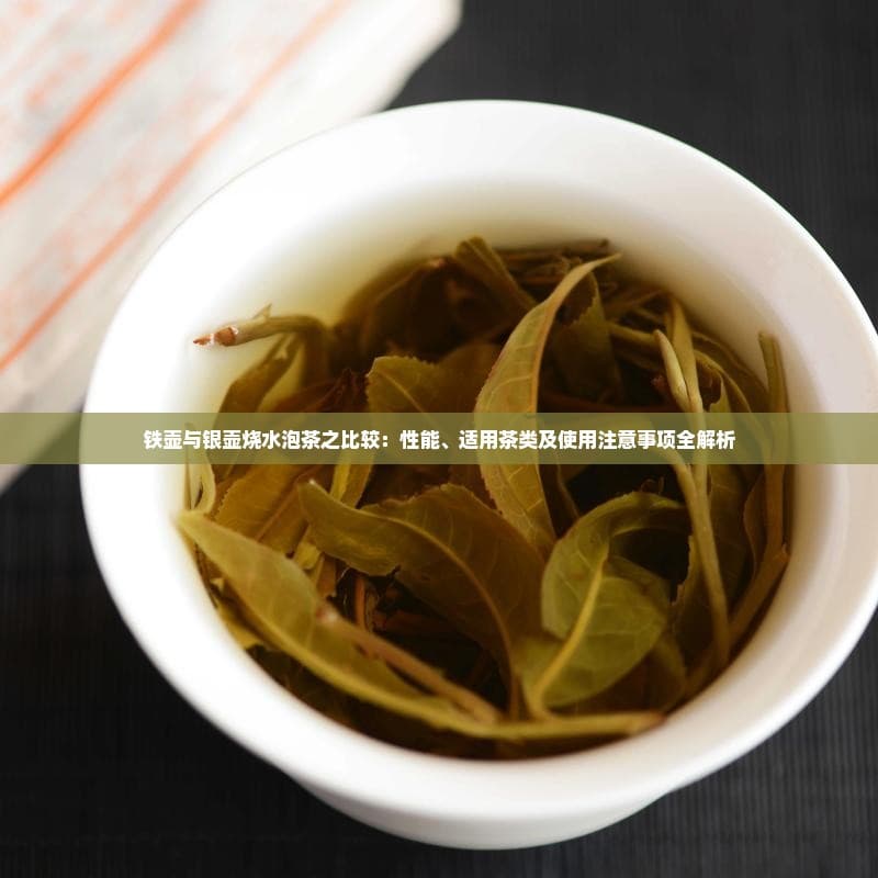 铁壶与银壶烧水泡茶之比较：性能、适用茶类及使用注意事项全解析
