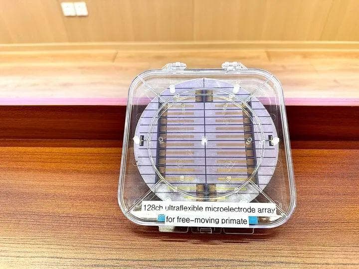 脑机接口技术新突破！“北脑二号”填补我国高性能侵入式脑机接口空白
