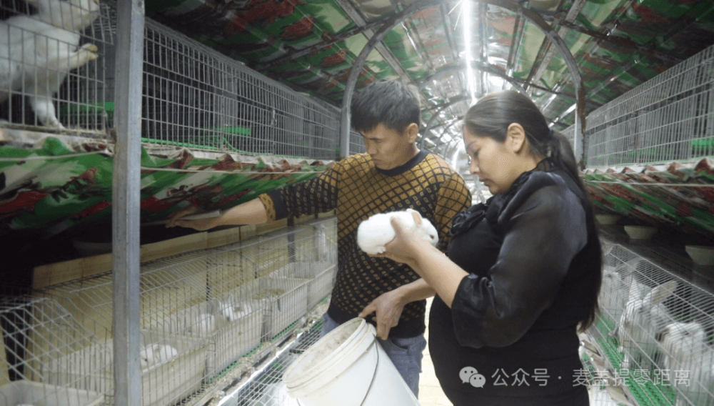 “兔”飞猛进！新疆麦盖提县庭院养殖铺就致富快车道