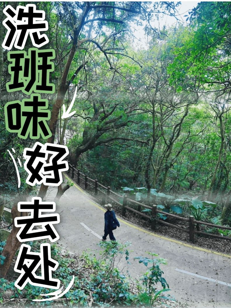 在深圳，走过最舒服的路线是……