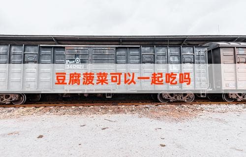 豆腐菠菜可以一起吃吗：营养搭配与注意事项