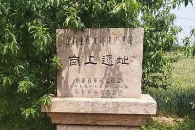临泉县文物古迹介绍