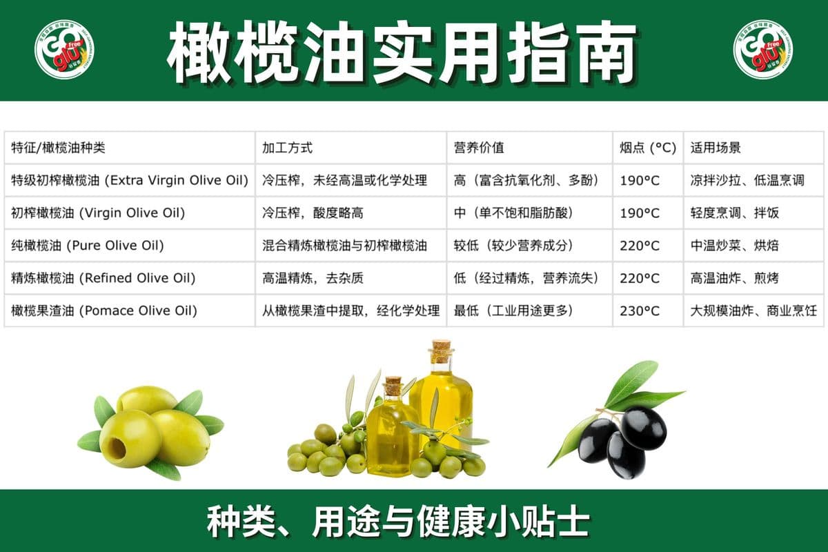 橄榄油指南：种类、用途与健康小贴士