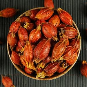 栀子果的功效与使用禁忌