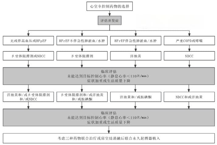 急性房颤急诊管理指南发布