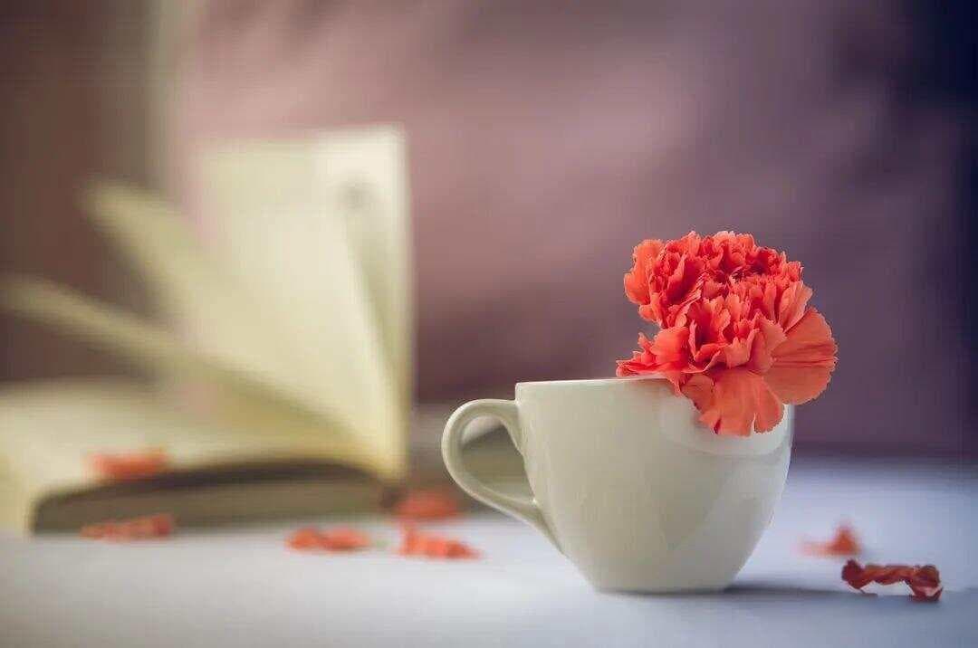 经常熬夜的人，喝什么茶最养生？老茶客：这6种茶很不错