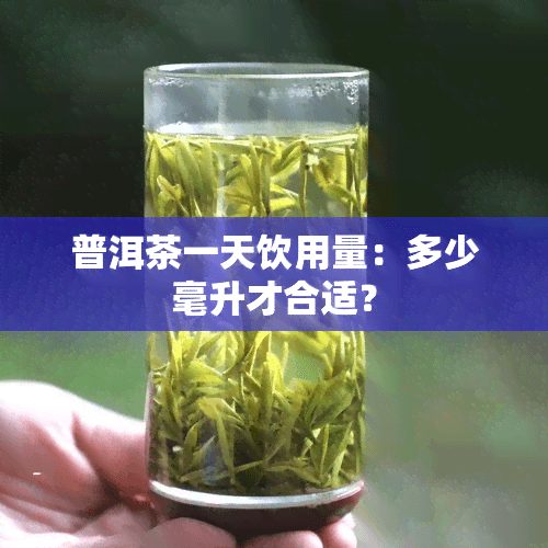 普洱茶饮用指南：从日饮用量到冲泡技巧