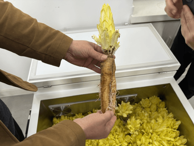 宁波卫生职业技术学院：“水手食舱”项目助力破解远洋膳食难题