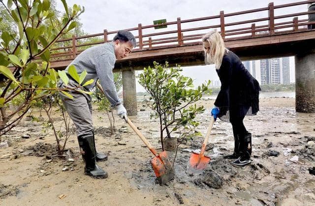 湛江金沙湾打造红树林科普基地，成生态教育新地标