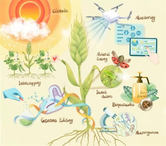 FASE | 前沿专刊：有害生物绿色防控