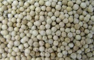 胡椒的成分及利用价值