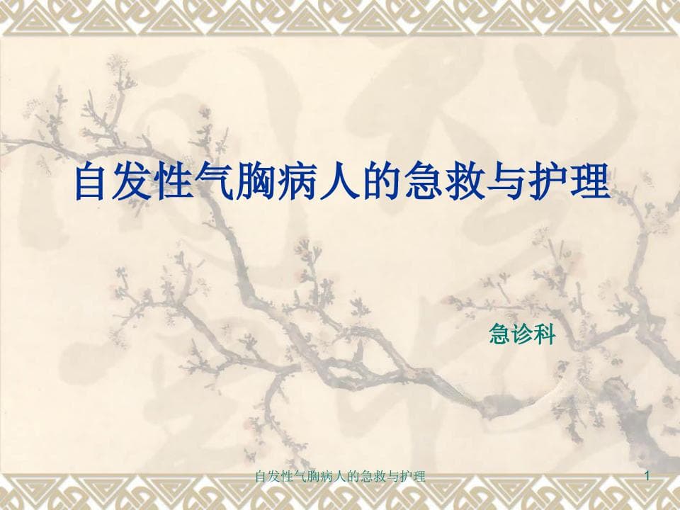 自发性气胸抢救预案