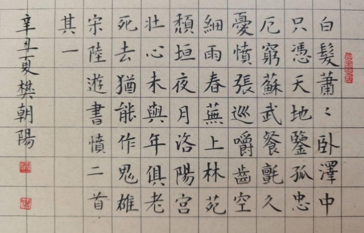 陆游《书愤》的艺术表达与情感深度