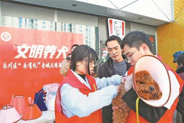 秋冬宠物防疫进行时：国家标准出台，多地创新接种模式