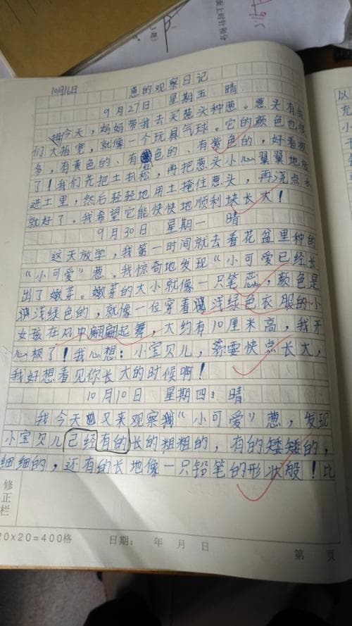 写植物的作文有哪些呢？解锁植物作文灵感宝库：写什么才出彩？!
