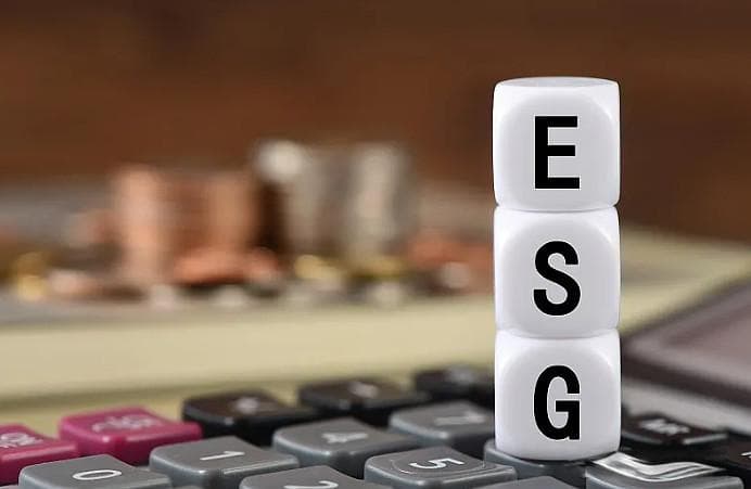 德璞资本视点：企业社会责任——利润与道德的平衡艺术