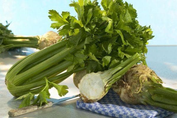 芹菜根的6大保健功效与5种食用方法，从降压到安神