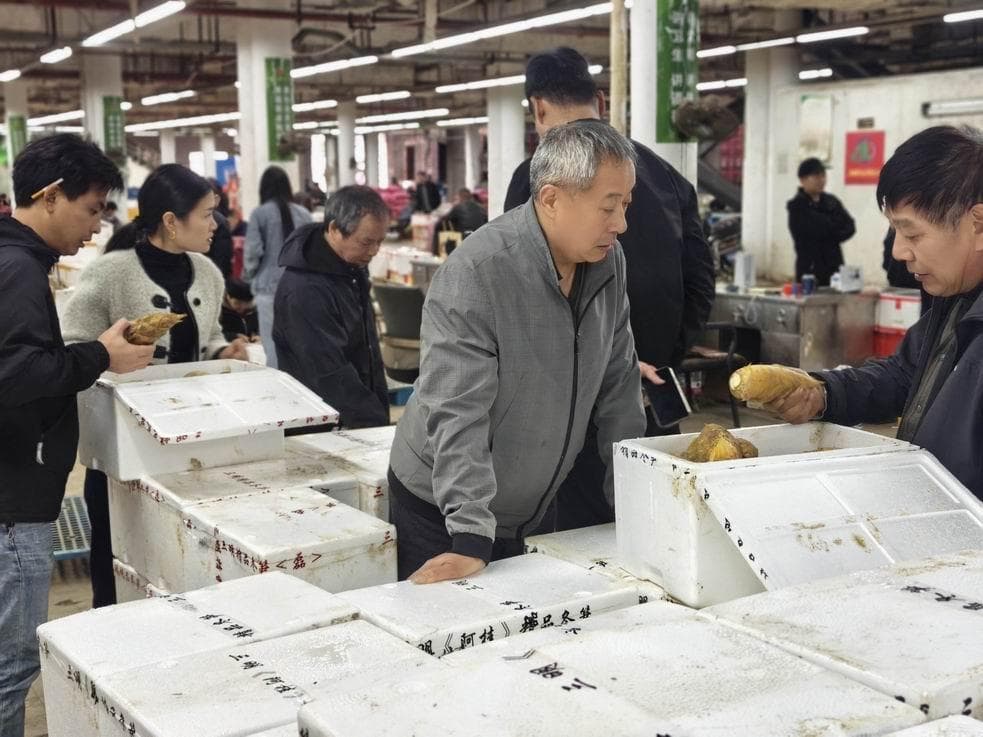 地产蔬菜批量上市，上海菜价整体回落
