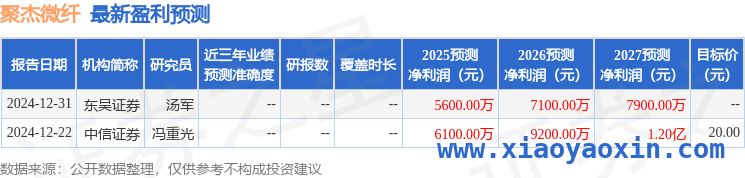 聚杰微纤经营现状与展望，投资者需了解这些！