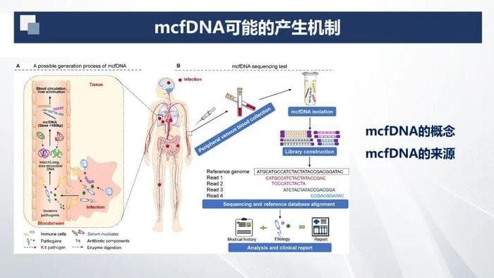 【规范与指南】血液样本微生物游离DNA的NGS检测原理与应用