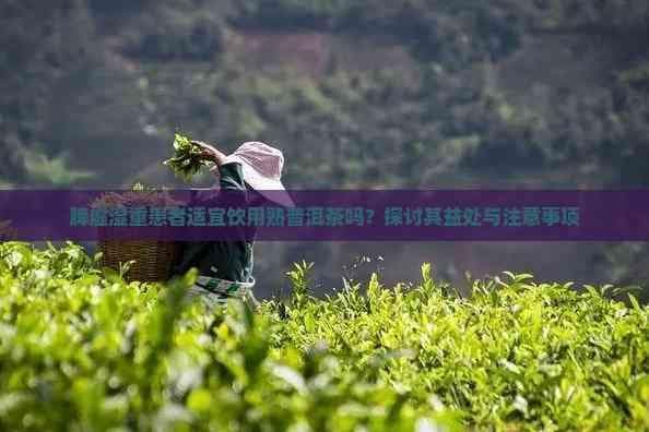 脾虚湿重患者适宜饮用熟普洱茶吗？专家解读其功效与注意事项