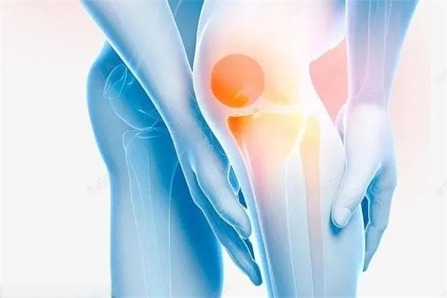 盐酸和硫酸氨基葡萄糖胶囊作用与功效对比：从分子结构到临床疗效