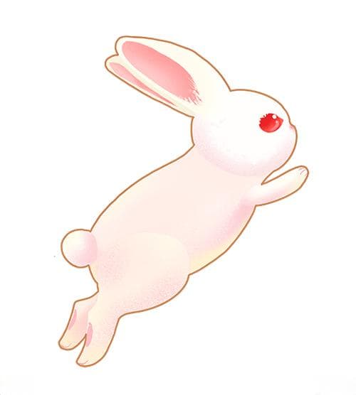 【成长·劳动】寒假劳动大放送