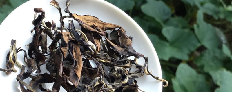 白茶适合什么时候喝
