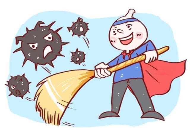 罗汉果的功效与应用：清热润肺、利咽开音、润肠通便