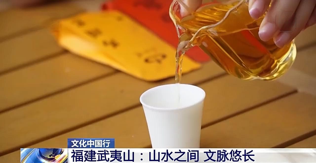 赏茶、观景、游古建……武夷山真的太全面了！