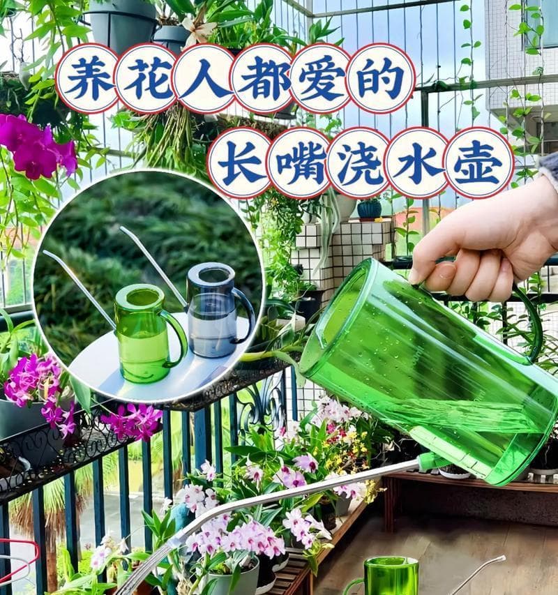兰花的生长环境与条件（探寻兰花喜欢生长的地方和种植要点）