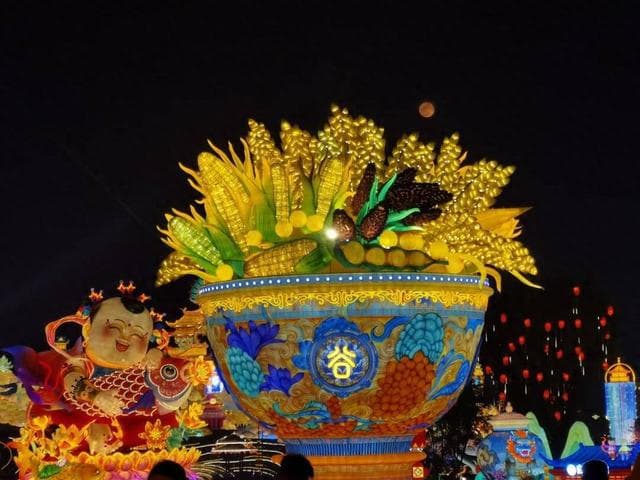 专家评“Lunar New Year”错在哪？这是一个科学问题