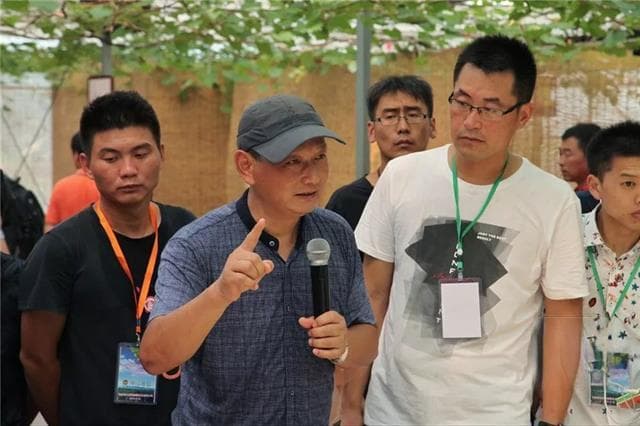 阳光玫瑰，东方蓝宝石，妮娜女王，徐卫东解读国内葡萄三大人气品种