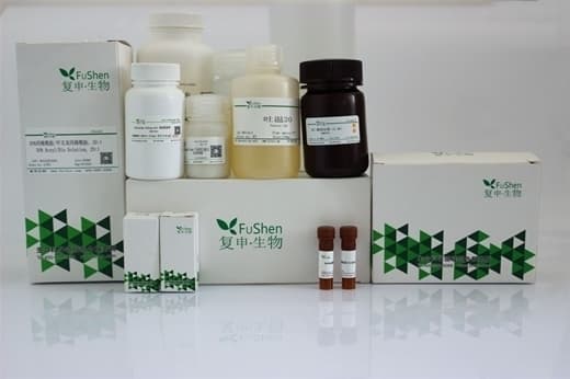 探究无脂肪酸BSA在医学领域的应用前景
