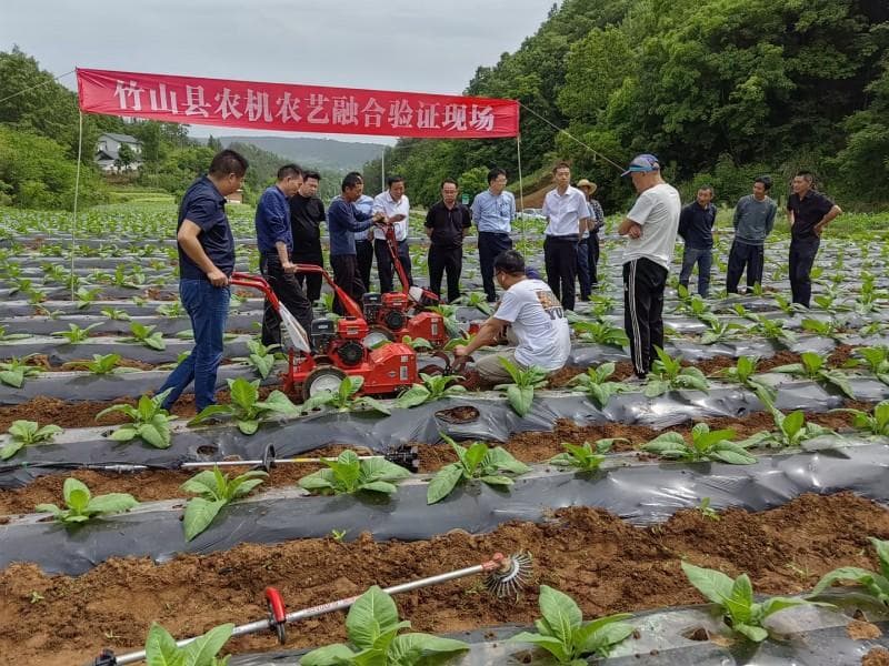 创新烟农管理模式 提升生产水平