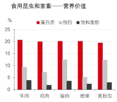 永续发展的重要性: 食用昆虫即将成为您餐桌上的食物