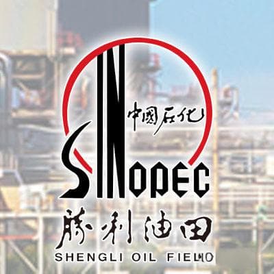 胜利投资的策略有哪些？这些策略的风险如何控制？